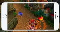 Super Adventures of Bandicoot 2 Screen Shot 1