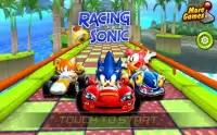 Hedgehog racing car Screen Shot 0