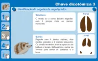 Investigar as pegadas dos animais Screen Shot 6