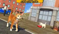Street Cat Sim 2016 Screen Shot 9