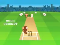 Campeões Troféu - Cricket Febre 2017 Screen Shot 4