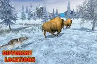 Wolf Familie Sim Screen Shot 7