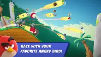 Angry Birds Racing Screen Shot 0