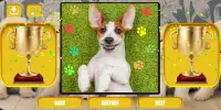Dogs & puppies jigsaw puzzles Screen Shot 6