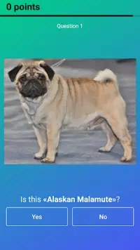 Dog Quiz: Guess the Breed — Game, Pictures, Test Screen Shot 6