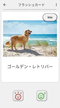 犬 - すべての一般的な犬の品種に関するクイズ Screen Shot 4