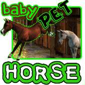 Baby Cavalo Pet