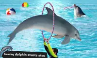 Dolphin Water Stunts Show Screen Shot 1