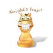 Knight's tour