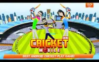 Mini Cricket Móvel Screen Shot 1