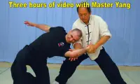 Tai Chi Martial Applications Screen Shot 10