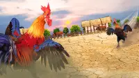 Wild Rooster Fighting Angry Chickens Fighter Games Screen Shot 2