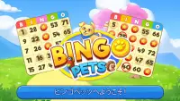 Bingo: Free the Pets Screen Shot 7