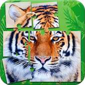 Tigers Jigsaw Puzzle Game