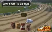 Crazy Dog Racing Screen Shot 5