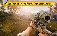 Wild Hunting 3d: Giochi di caccia agli animali Screen Shot 3