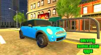 Driving Simulator: Mini Cooper Race Screen Shot 4