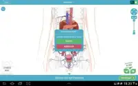 3D Anatomy Quiz Screen Shot 10