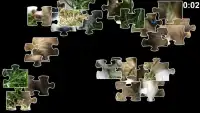 Puppy Jigsaw Puzzles Screen Shot 1