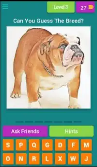 Guess The Dog Breeds Most Popular Dog Breeds Quiz Screen Shot 3