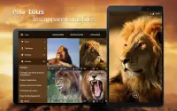 Lion Fonds d'écran 4K Screen Shot 4