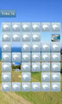 New Zealand Memory Game Screen Shot 4