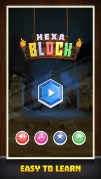 Hexa Block Jigsaw - Classic Hexa Block Puzzle Game Screen Shot 1
