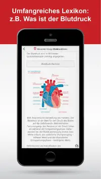 BlutdruckDaten - Tagebuch-App Screen Shot 5