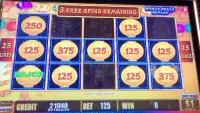 Winner Slot Machines Screen Shot 0