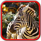 動物園ジグソーパズルゲーム無料