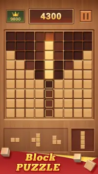 Wood Block 99 - Câu Đố Sudoku Screen Shot 3