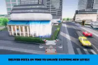 Drone Pizza Delivery Simulator 3d 2018 Screen Shot 4