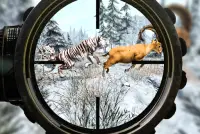 wilde dieren jager: sniper shooter Screen Shot 6