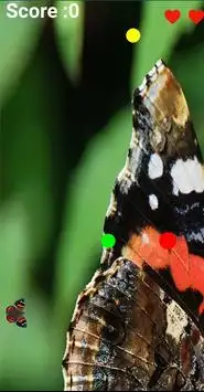 Red Butterfly Screen Shot 2