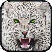 Wild Snow Leopard Survival Sim