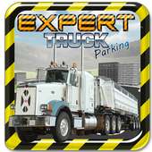 Expert Truck Parking 3D Games