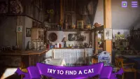 Find a Cat: Hidden Object Screen Shot 0