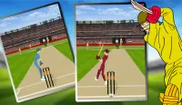 Cricket Fever 2018 Screen Shot 1