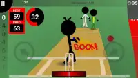 Smash and Slog Cricket Screen Shot 0