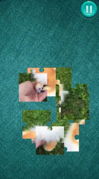 Puppies Jigsaw Puzzle - Kids Animal Jigsaw Puzzles Screen Shot 5