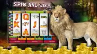 Safari Lion Slot Machine Games - Free Casino APP Screen Shot 5