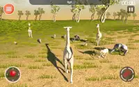 하이에나 게임 3D - 사파리 동물 시뮬레이터 Screen Shot 13