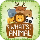 What's Animal ?