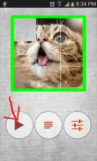 cat puzzle Screen Shot 0