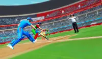 Indian Cricket League Game – IPL 2020 Cricket Game Screen Shot 11