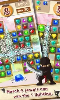 Ninja Jewels Screen Shot 2