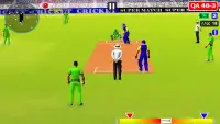 World Cup Cricket Champions 3D Screen Shot 1