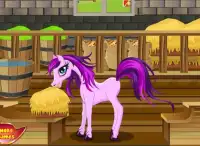 Lovely Horses Pony Care Game Screen Shot 11