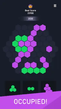 Block Hexa - Puzzle Game Screen Shot 3