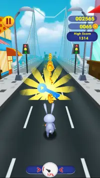 Animal Road Run For Fun Screen Shot 2